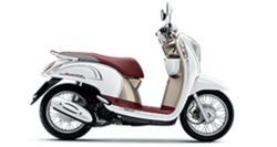 scoopy