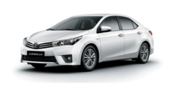 rent a Corolla (Automatic)